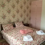 Minihotel Zolotoe Runo 여관