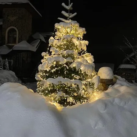 Minihotel Zolotoe Runo * Ploskoye