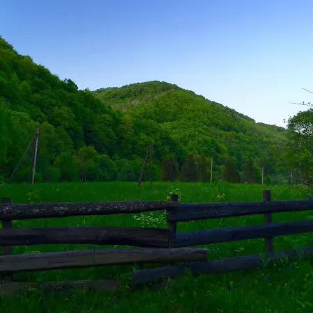 Minihotel Zolotoe Runo אורחן