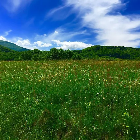 אורחן Minihotel Zolotoe Runo *