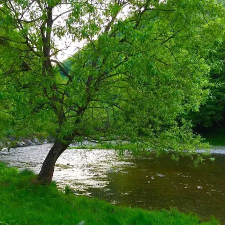 Minihotel Zolotoe Runo אורחן