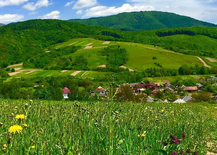 Minihotel Zolotoe Runo Мини-отель *